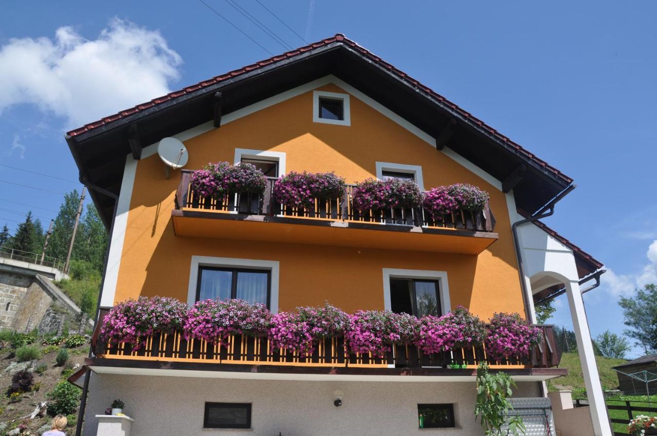 Privatzimmer Bendl Штайнхаус-ам-Земмеринг Экстерьер фото